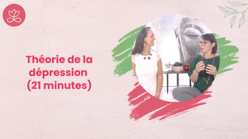 Jour 2 - Théorie de la dépression (21 minutes)